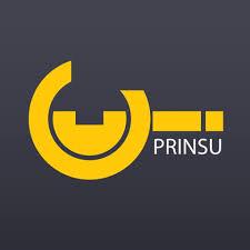 Prinsu Design Studio