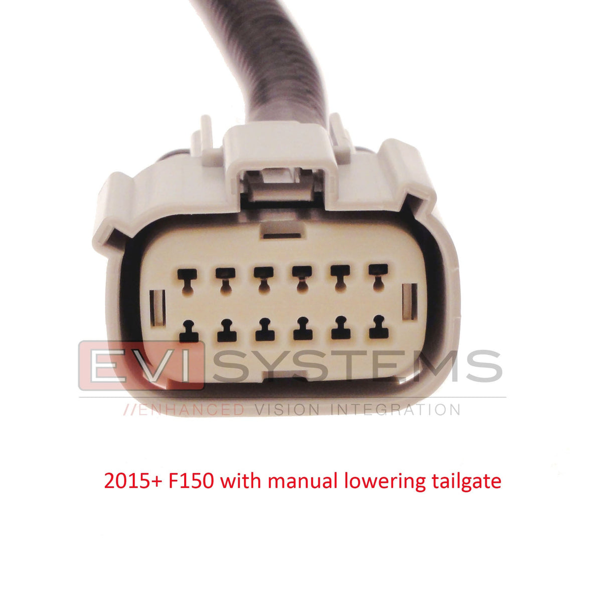 Plug & Play Lug Mounted Camera Kit for Ford® F150