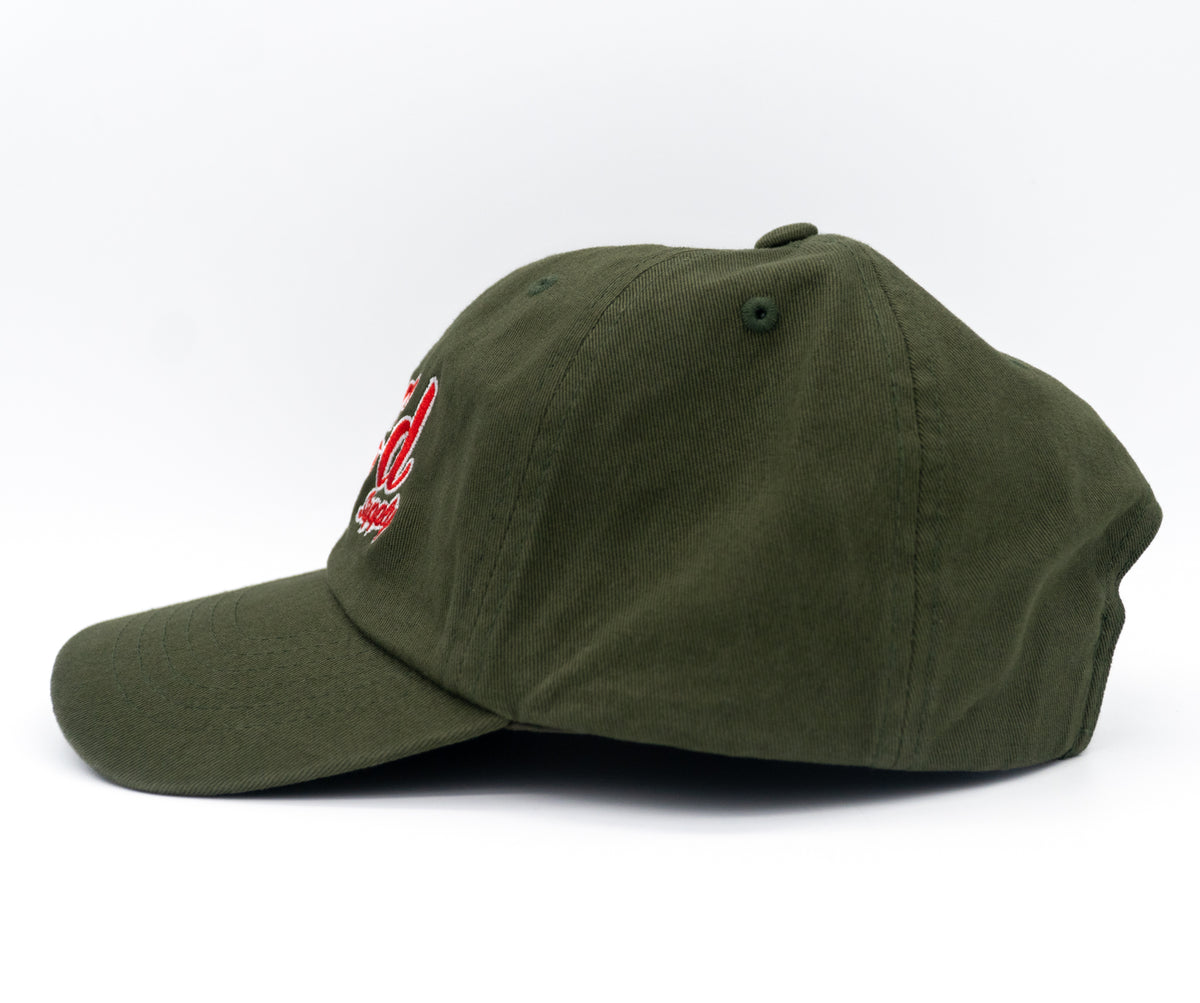 RiG'd Shop Logo Dad Hat